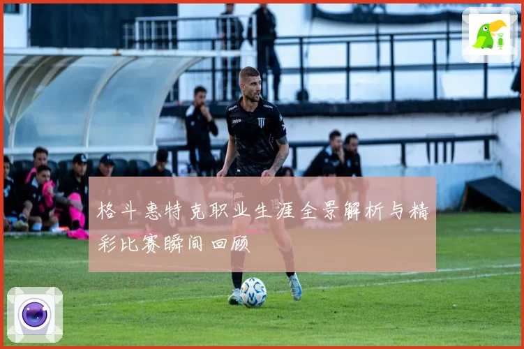 格斗惠特克职业生涯全景解析与精彩比赛瞬间回顾