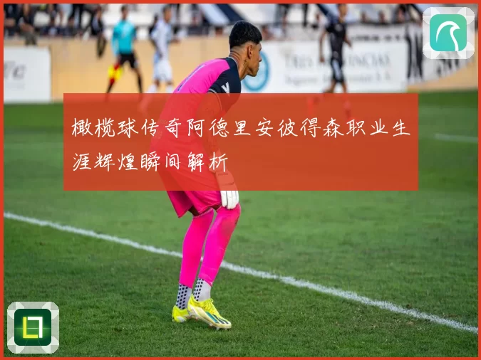 橄榄球传奇阿德里安彼得森职业生涯辉煌瞬间解析