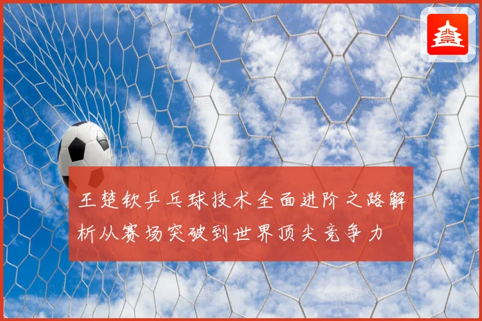 王楚钦乒乓球技术全面进阶之路解析从赛场突破到世界顶尖竞争力