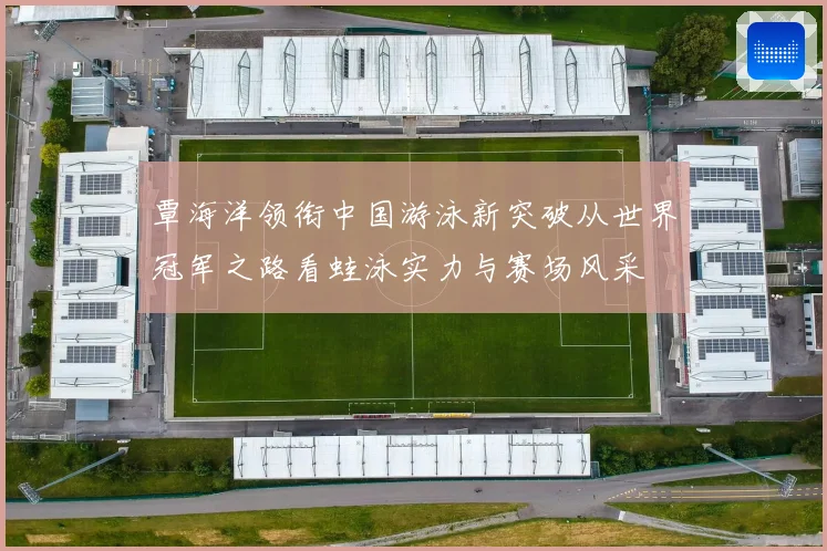 覃海洋领衔中国游泳新突破从世界冠军之路看蛙泳实力与赛场风采