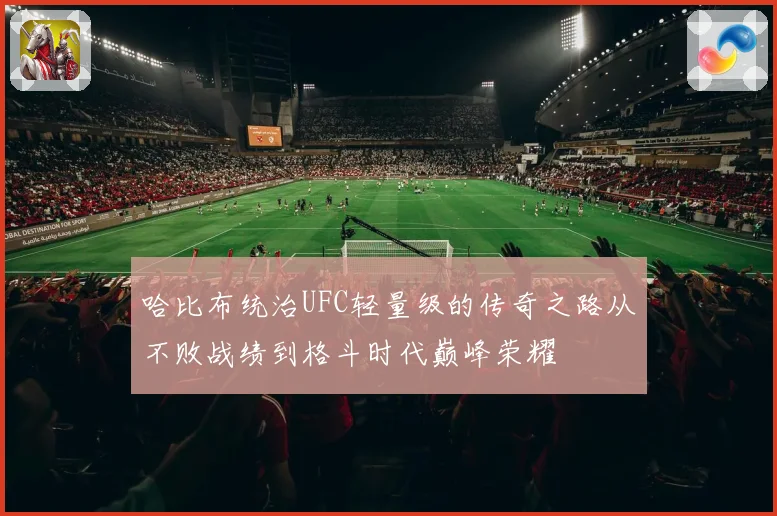 哈比布统治UFC轻量级的传奇之路从不败战绩到格斗时代巅峰荣耀