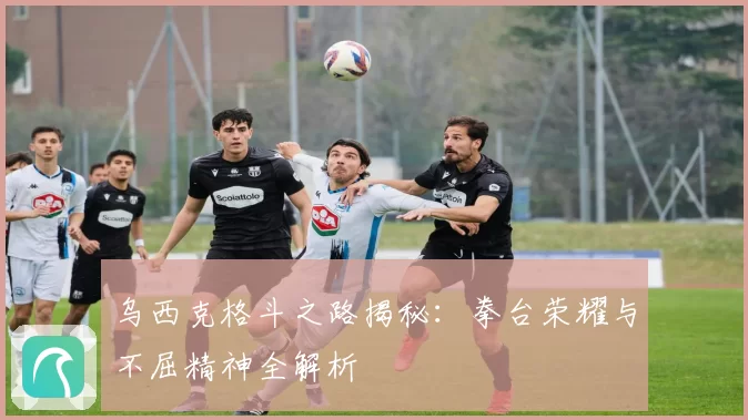 乌西克格斗之路揭秘：拳台荣耀与不屈精神全解析